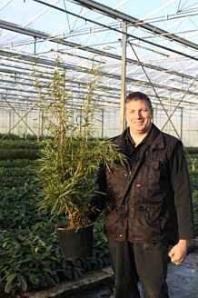 Bambu kruka 100-125 cm Kruka