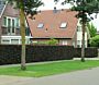 Blodbok-ALG HAAG