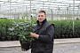 Rhododendron-Catawbiense-Boursalt-Kruka-40-50